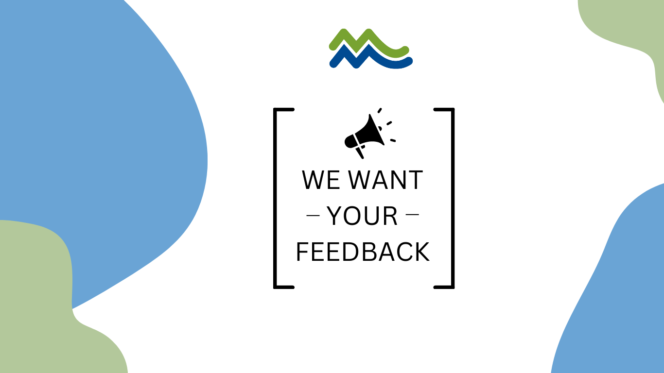 Policy Feedback
