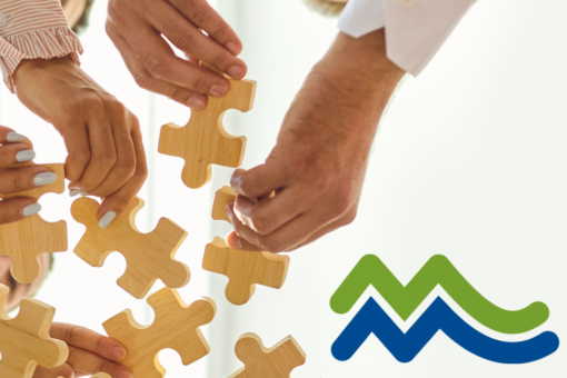 Have Your Say Portal Image